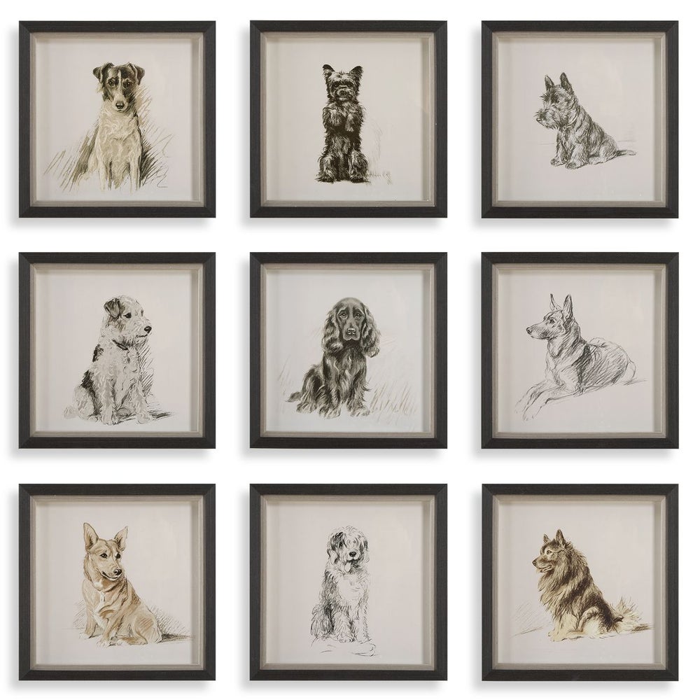Loyal Companion Framed Prints