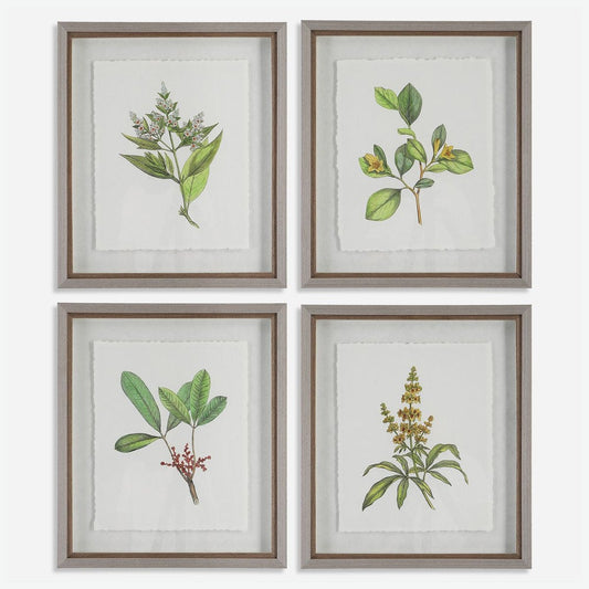 Wildflower framed print