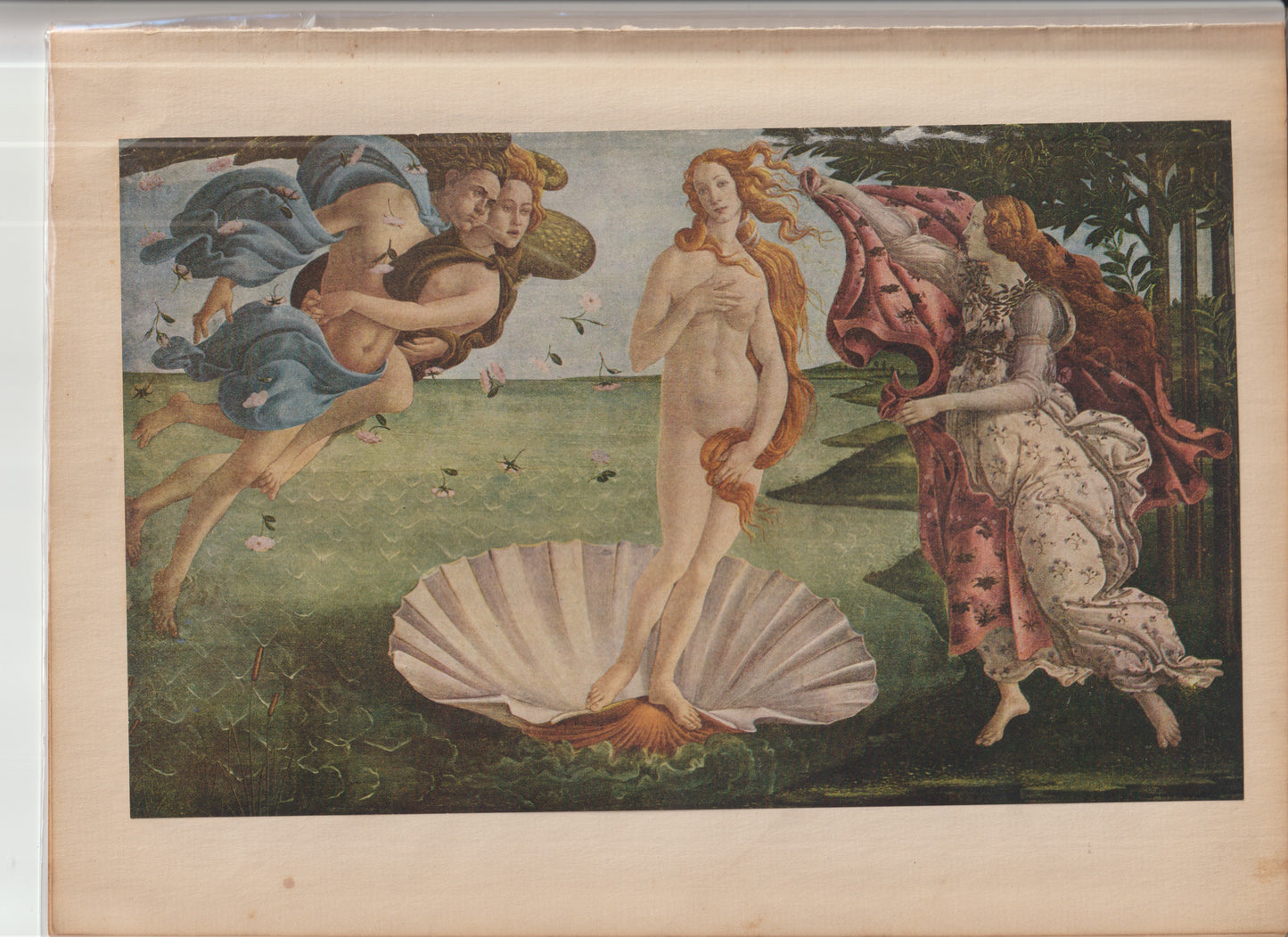 World Famous Painting Botticelli Plate 2