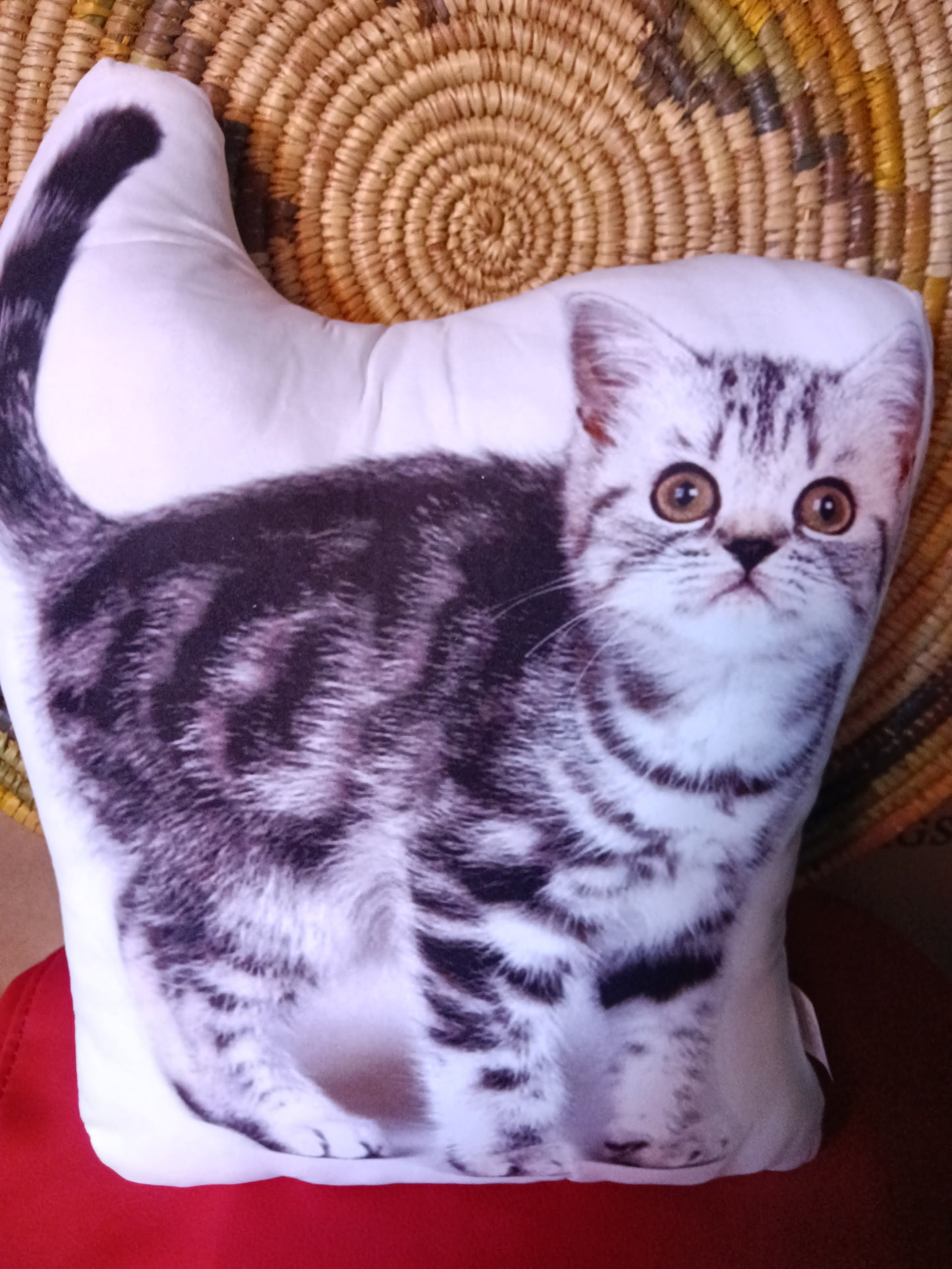 Cat Pillows