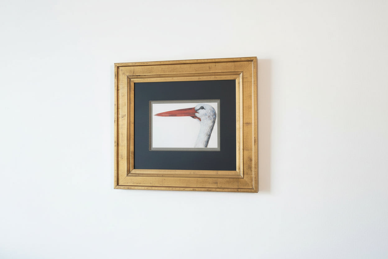 Beautiful Stork Head Framed