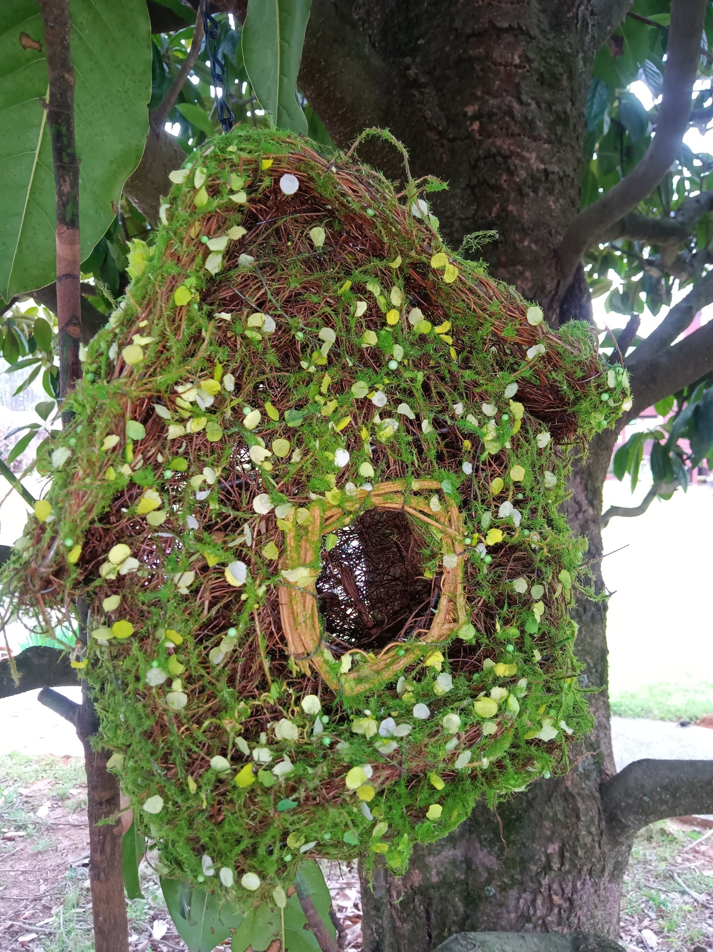 Moss Bird House