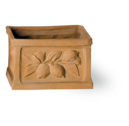 Citrus Square Terracotta Planter w/Lemon outlines
