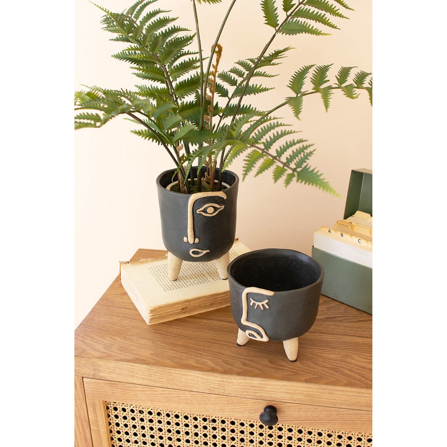 Planter w/Cute abstract facial designs