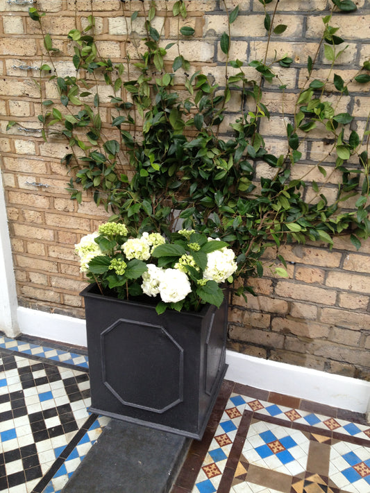 Stuart Planter