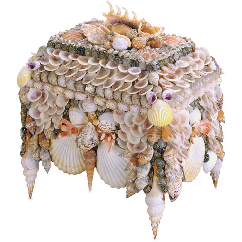 Boardwalk Natural Shell Jewelry Box