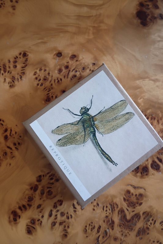Dragonfly Coasters