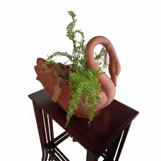 Swan Terracotta Planter