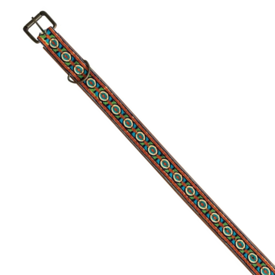 Cotton & Leather Dog Collar with Embroidery & Metal Buckle