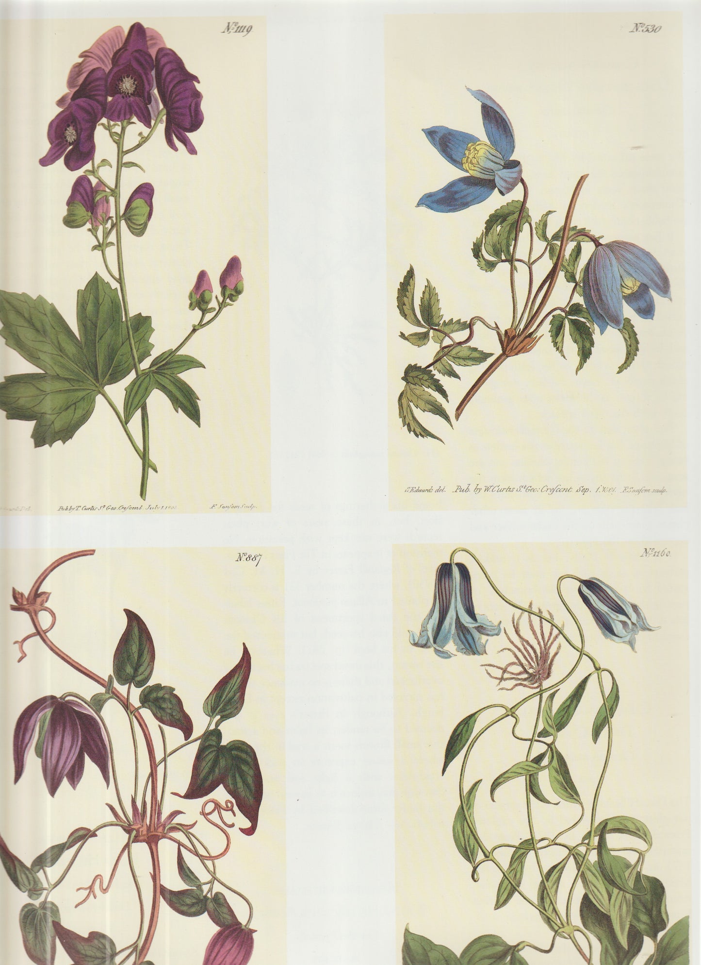 Hand‑Colored Copperplate Engravings on One Sheet (Plates 289, 350, 807 & 760)