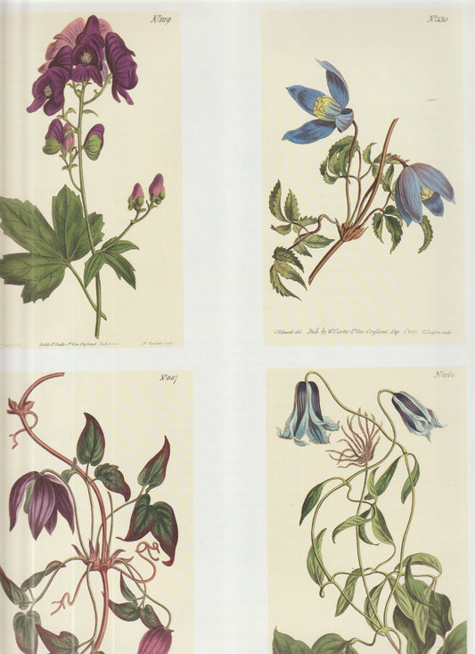 Hand‑Colored Copperplate Engravings on One Sheet (Plates 289, 350, 807 & 760)