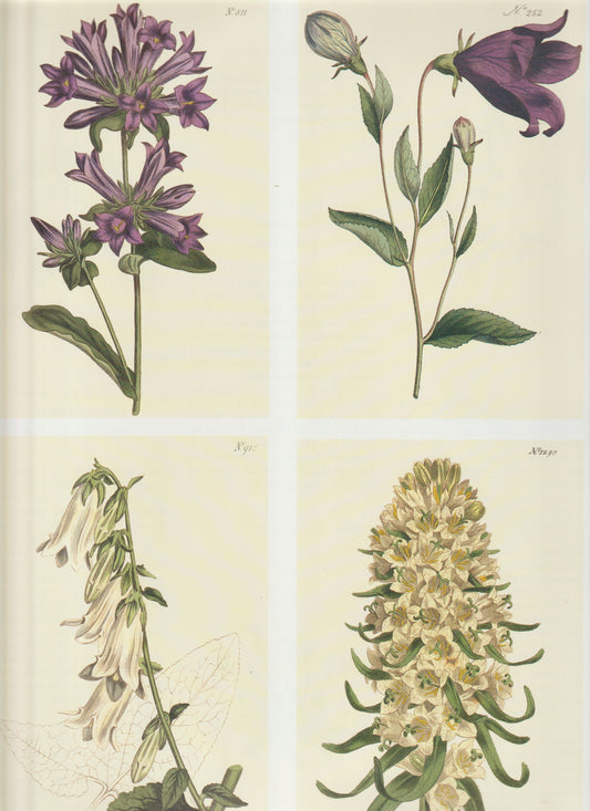 Set of Four Original Botanical Plates — Nos. 912, 1290, 252 & 811 — 19th‑Century Hand‑Colored Engravings”