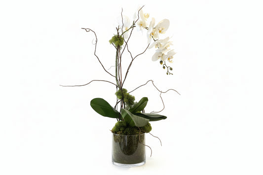 Orchid w/ rustic aluminum vase