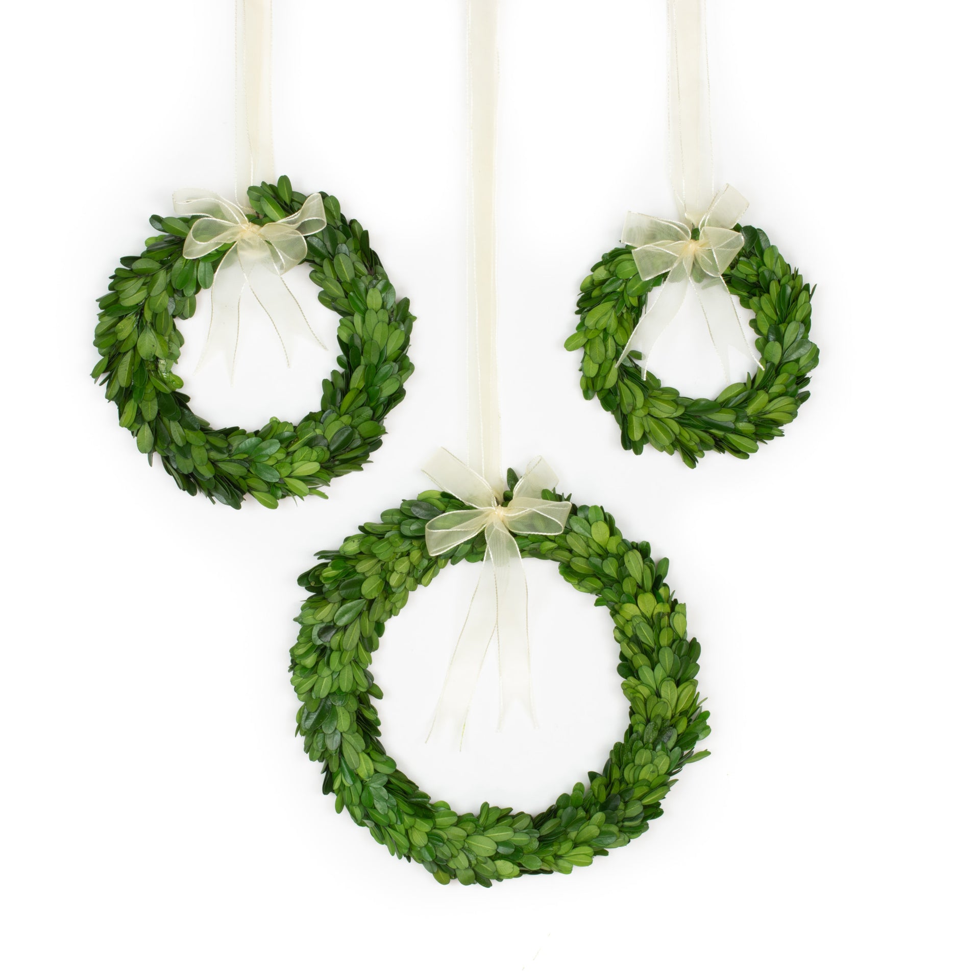 Boxwood wreath w/ribbon 3 piece set