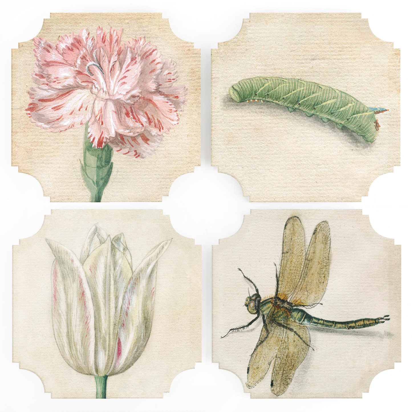 Coasters decorated with beautiful insects and flowers.