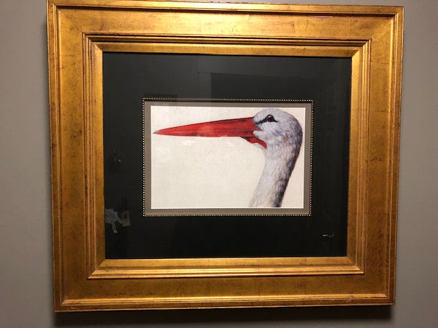 Beautiful Stork Head Framed
