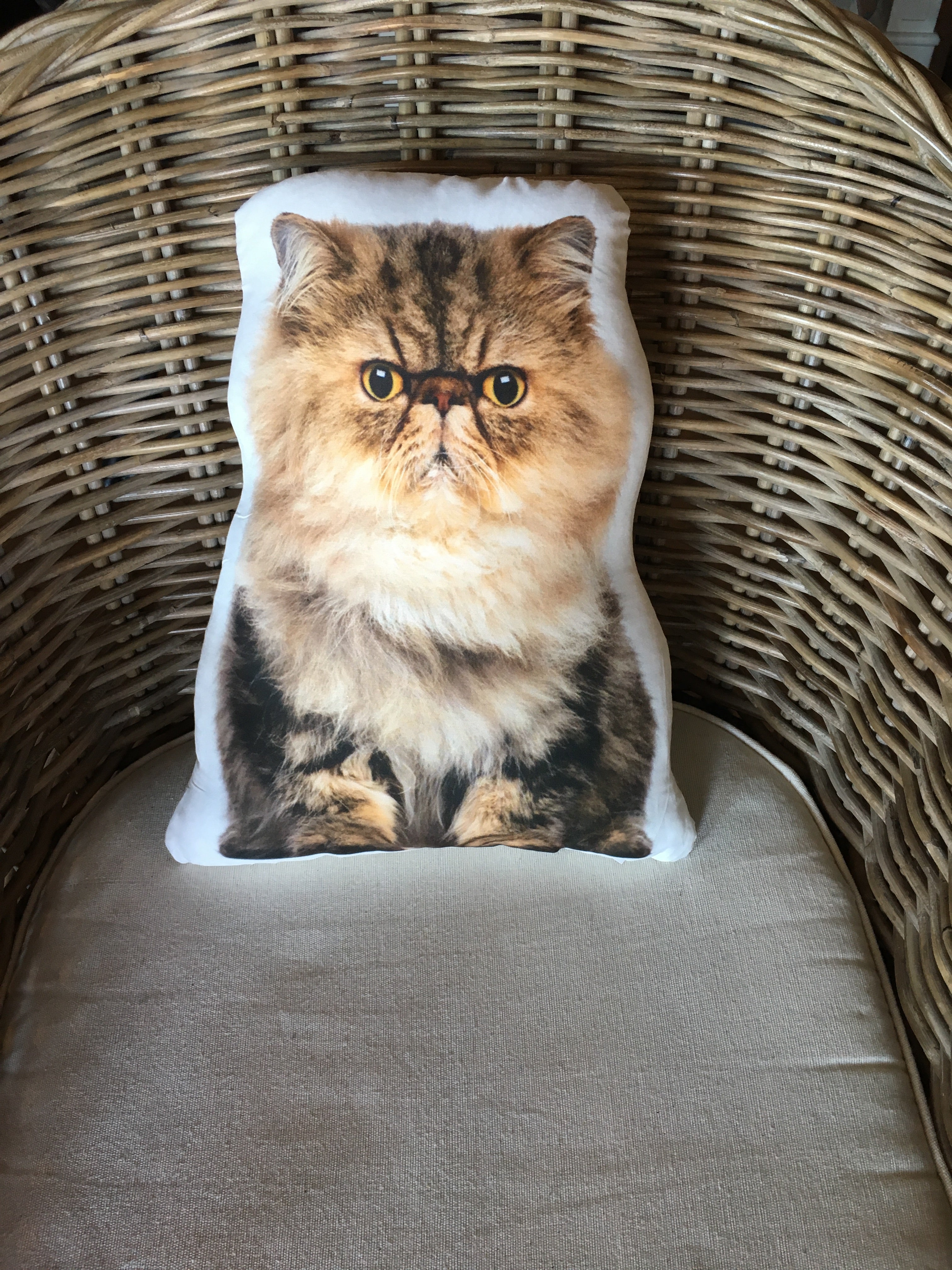 Persian cat pillow best sale